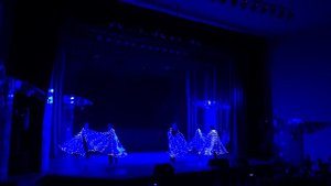 Светодиодне крылья