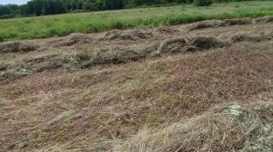 Заготовка сена гектарами!ОБЩАЯ СУММА! Наёмная техника,наёмные рабочие! Выгодно или нет??