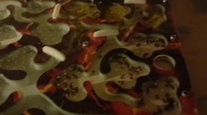 муравьи на гипсе и мусорка сработала!!!