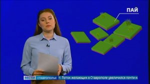 Земельные споры на Ставрополье: Как вернуть свой пай из аренды? Инструкция от юристов