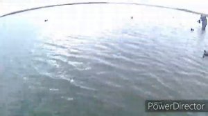 Удачная утиная охота на раскатах