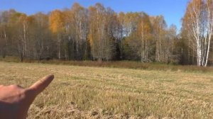 В поисках золота, старины, сокровищ и проклятий с Дмитрием Мусихиным!!!