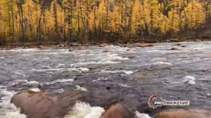 Рыбалка в Южной Якутии. Горные реки Тимптон, Анамжак.