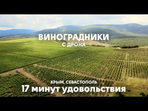 Виноградники Крыма и Севастополя с дрона в 4к | 17 минут удовольствия