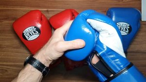 Боксерские перчатки CLETO REYES Velcro Closure Training 12,16 oz-обзор и сравнение.Отличие подделки