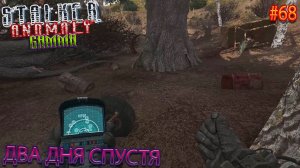 ДВА ДНЯ СПУСТЯ | STALKER ANOMALY GAMMA | Серия 68