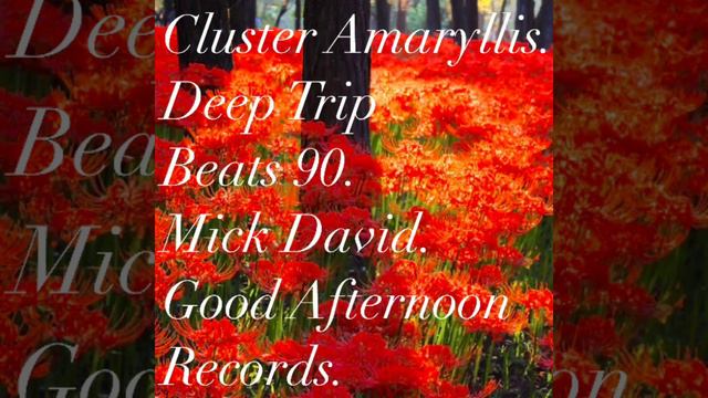 Cluster Amaryllis.Deep Trip Beats 90.Mick David.Good Afternoon Records. смотреть онлайн