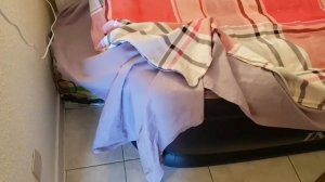 Влог Франция 8 | Отпуск во ФРАНЦИИ. ФРАНЦУЗЫ И УСТРИЦЫ. РУМ ТУР ПО КВАРТИРЕ СЕСТРЫ