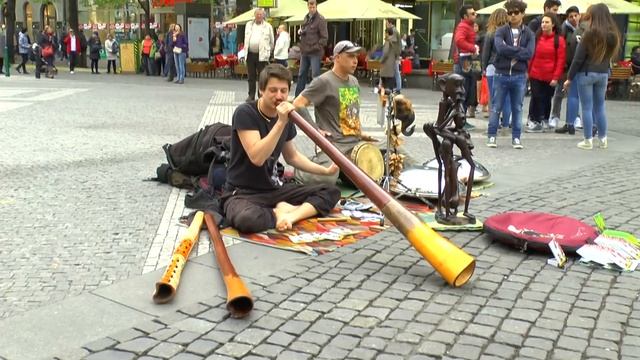 ханг друм,диджериду,бар чаймс.didgeridoo,hang Drum