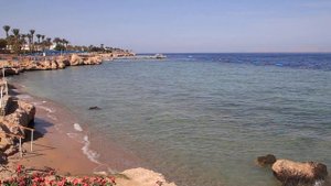 Egypt. Hotel Albatros Royal Grand. Sharm el Sheikh. Египет. Шарм эль Шейх.