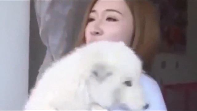 Она купила щенка, но его стали бояться сородичи! Оказалось что это даже не собака! смотреть онлайн