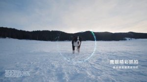 рекламный ролик Honor Magic 6 Pro