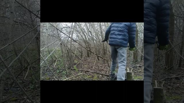 пиляю дерева смотреть онлайн