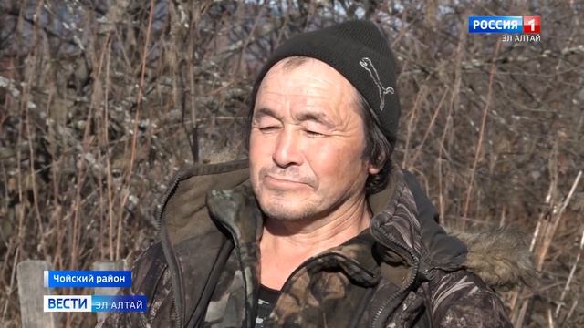 Как проходит Всероссийская перепись населения в Чойском районе? смотреть онлайн