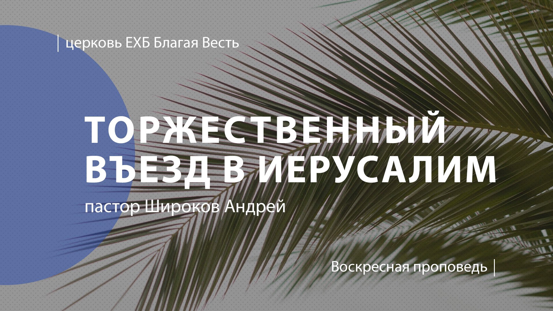 Праздник торжественного въезда иисуса христа в иерусалим. Торжественный въезд Христа в Иерусалим. Торжественный въезд Иисуса в Иерусалим. Торжественный въезд Иисуса Христа в Иерусалим. Торжественный въезд в Иерусалим картинка.