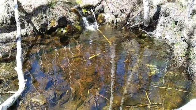 Золото Нурали или Одиночный велопоход на Нурали 7 лет спустя смотреть онлайн