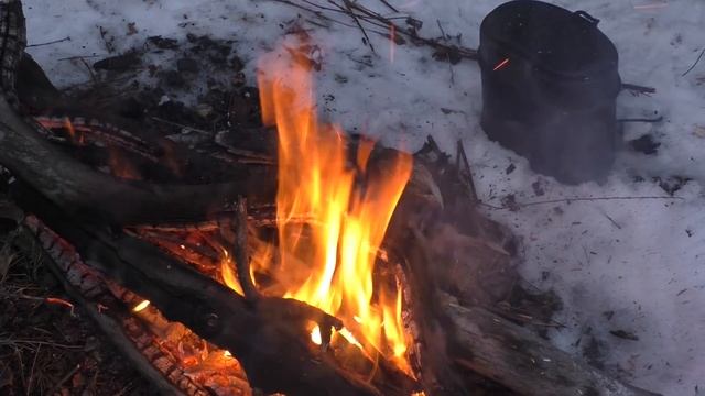 ⛺ Полуночной одиночный поход в зимний лес | Готовлю мясо с картофелем в фольге смотреть онлайн