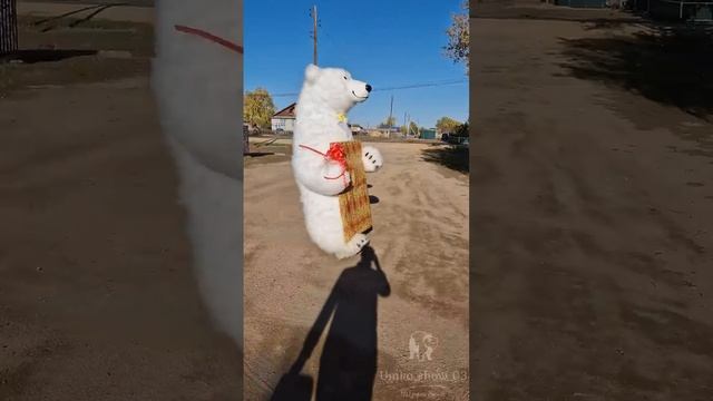 ? Танцующий медведь покоряет YouTube: Вирусные поздравления от Белого Мишки! ??