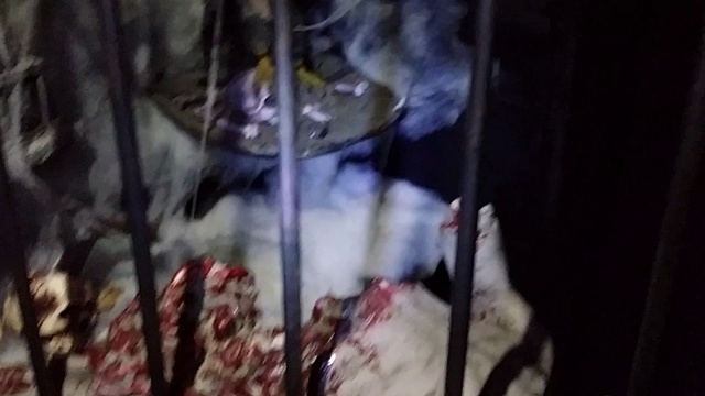 Дом страха в Геленджике