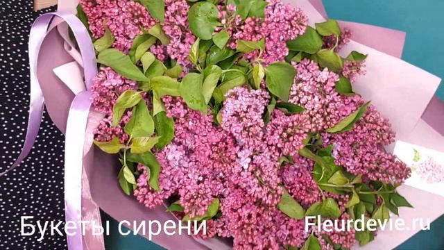 Букеты сирени от интернет магазина Fleurdevie.ru смотреть онлайн