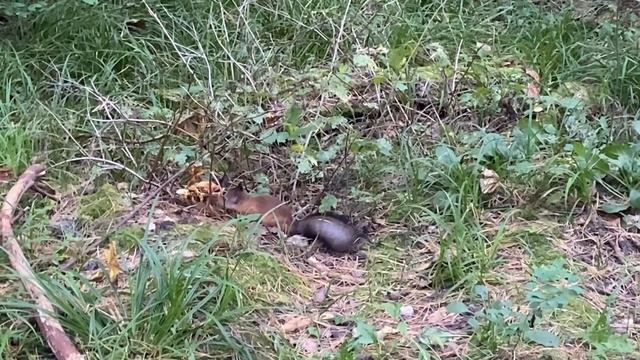 1 день подготовки к ЕГЭ смотреть онлайн