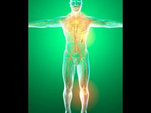 Исцели любую болезнь прямо сейчас!