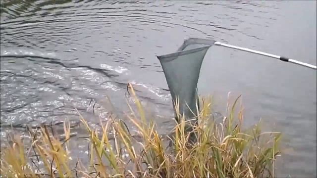 Рыбалка на форелевой ферме смотреть онлайн