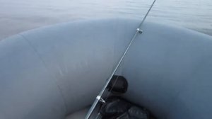 Как в фильме ужасов...Туман.