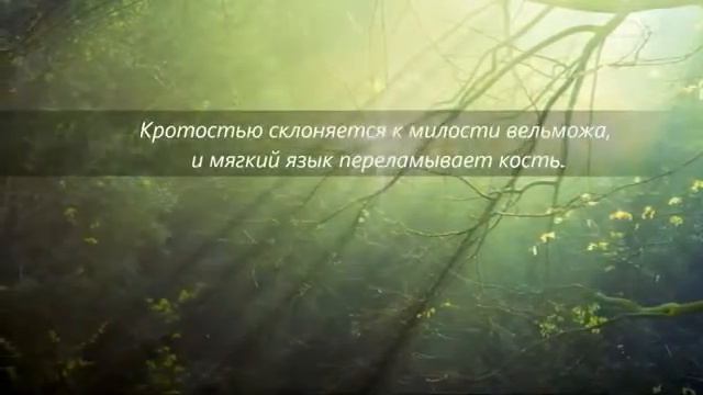 Притчи 25Кротостью склоняется к милости вельможа.... смотреть онлайн