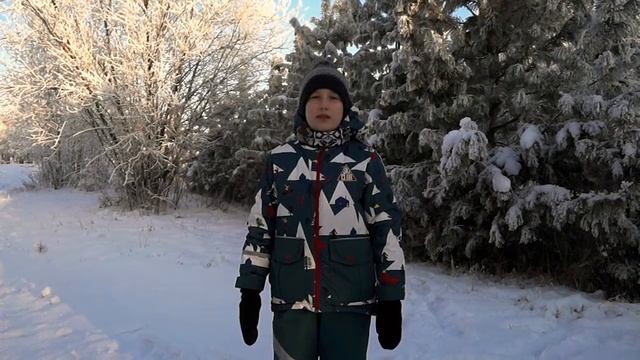 "Снежной зимой" - видеоурок о правилах поведения детей на улице в гололёд и сильный мороз.