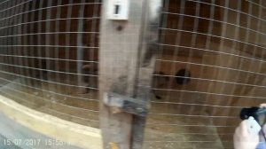 у плотника июль17.mp4