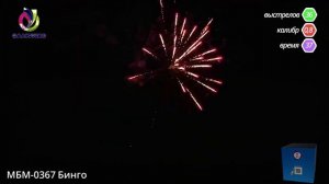 МБМ 0367 Бинго
