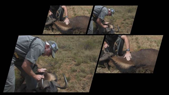 The American Huntress Season 4 Episode 2: Africa Part 2 смотреть онлайн