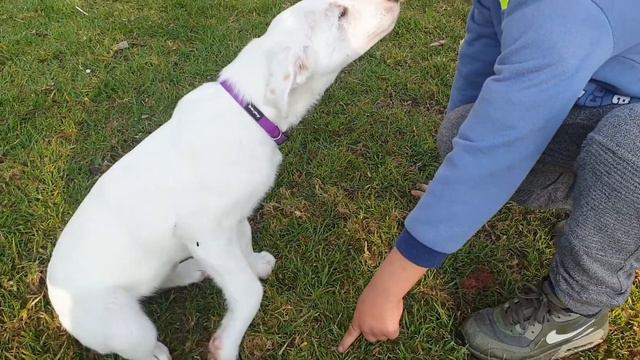 Первое знакомство с мальчиком на улице смотреть онлайн