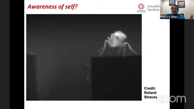 Scientifically Speaking - S2L1 - Insects are Us | Prof. L S Shashidhara смотреть онлайн