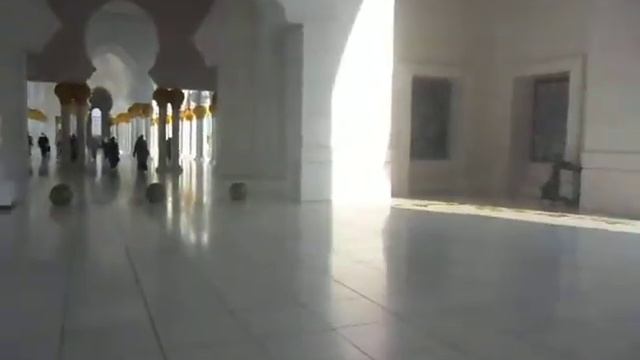 Мечеть Шейха  Зайда