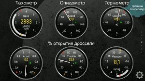 Рено Дастер  Высокий расход бензина, вычисляем термостат при помощи сканера EML327