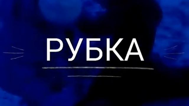 ×РУБКА×