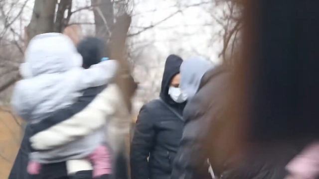 Népliget2021 only prodigy export смотреть онлайн