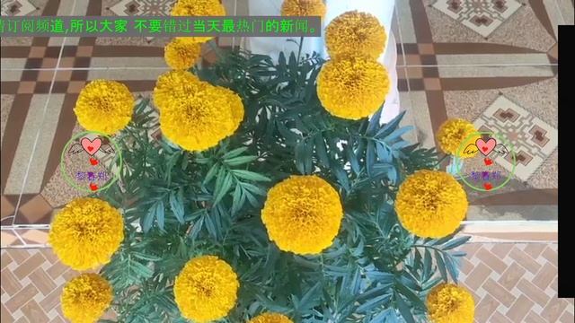 我们错怪王一博了，《无名》的票房是他扛起来的，这是事实 #王一博 #1黎春郑 #Wángyībó