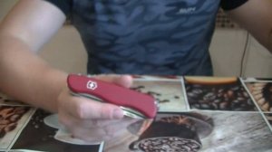 NEW Victorinox 2020 Cheese Master, обзор, тесты сырного ножа и вилки.