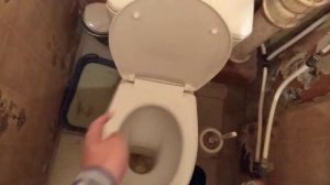 КАК ПРАВИЛЬНО КАКАТЬ