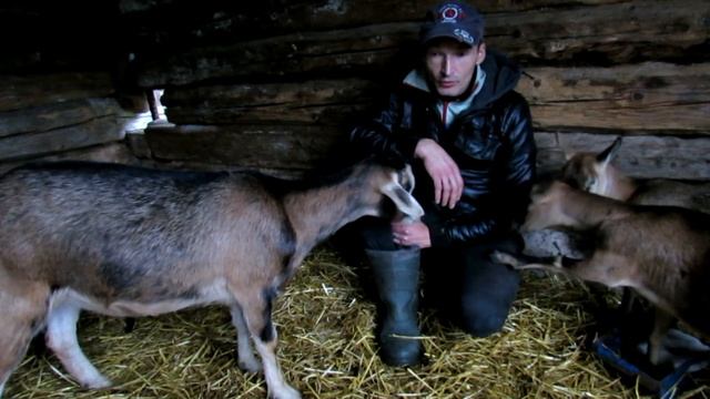 Живое и мертвое молоко смотреть онлайн