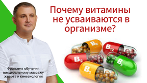 Почему витамины не усваиваются в организме? Функции печени. Фрагмент обучения