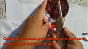 Лучший автоматический Пучковяз для насадки и мотыля
