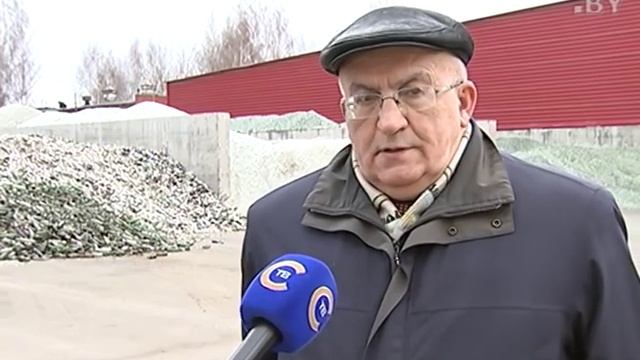 Раздельный мусор, сбор стеклотары, макулатуры: о выгодах экологичного, бережливого и экономного дел
