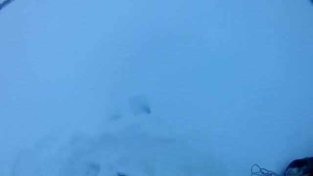Ловля судака на тюльку.