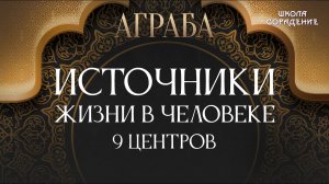 Источники жизни в человеке. 9 центров #ЗолотойВекАграбы #9центров #источникижизнивчеловеке