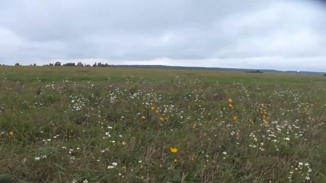 Что можно найти на месте старой столбовой дороги?