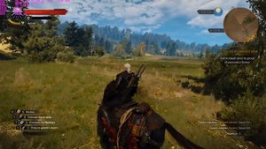 The Witcher 3 GTX950/FX4300(4.3GHz)